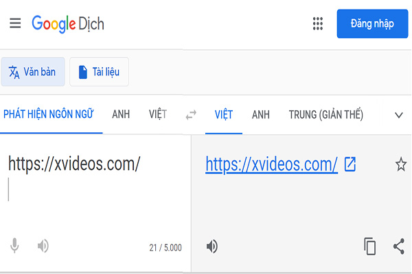 xem sex vày google dịch
